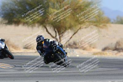 media/Jan-14-2024-SoCal Trackdays (Sun) [[2e55ec21a6]]/Turn 4 Tree of Life (155pm)/